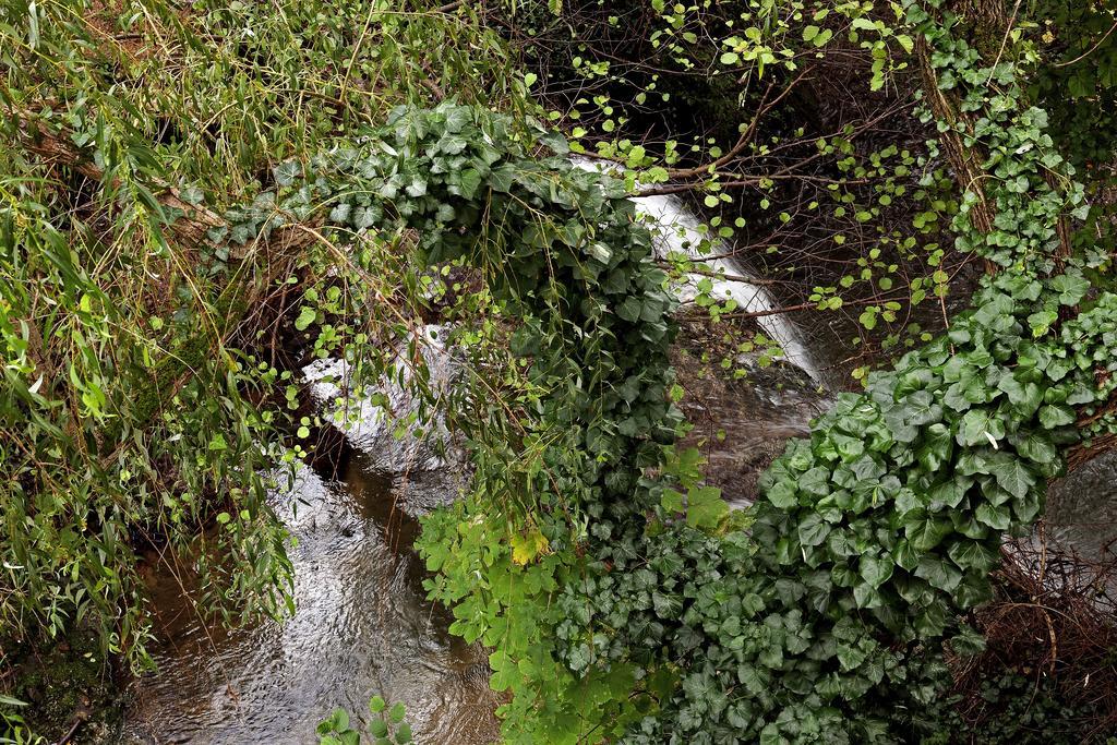 Moulin De Cornevis Bed And Breakfast Privas Rom bilde